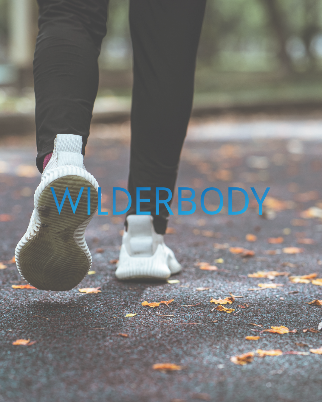 Wilderbody