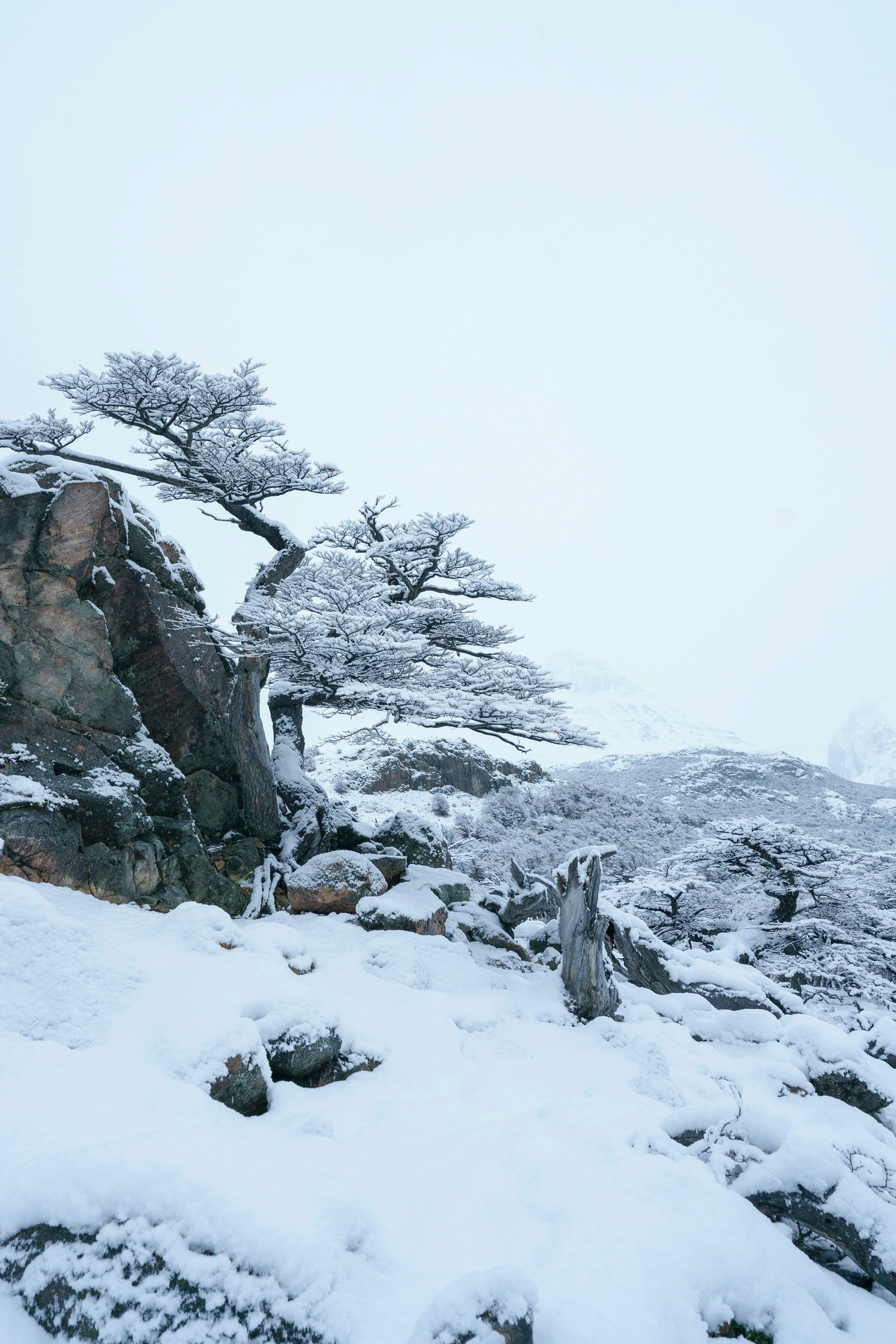 Bariloche 2027 experience