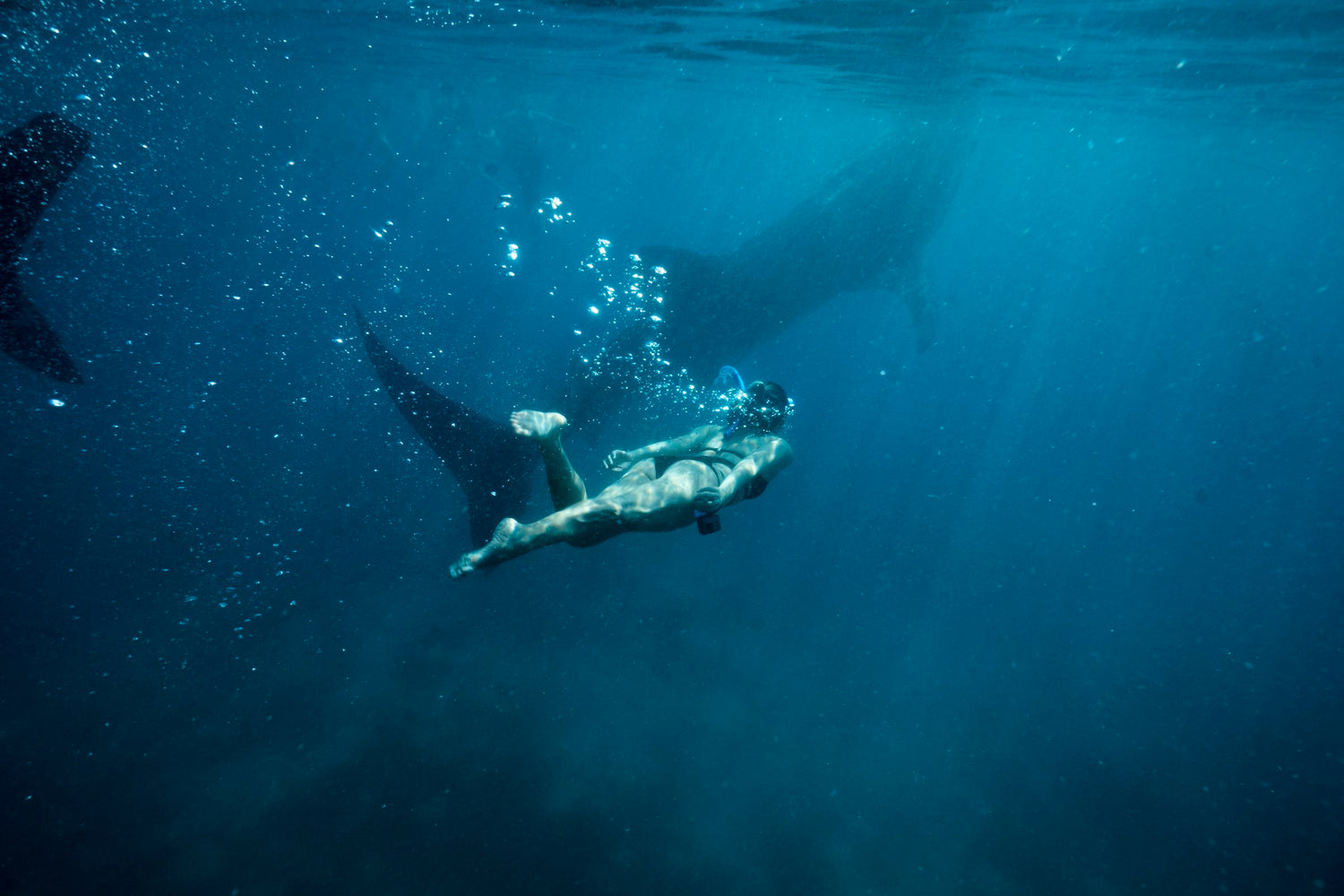 Swimmer experiencing the underwater world in the Philippines